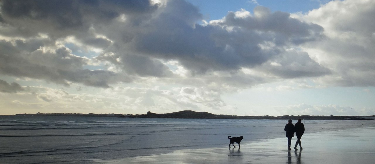 Pärchen mit Hund spazieren am Strand 